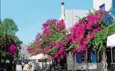 Antiparos