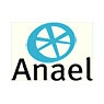 Anael Real Estate