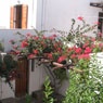 Nikos Mitsis Studios