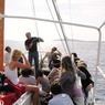 Octopus Sea Trips