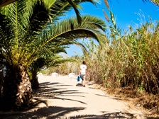 Shaded spot at the footpath