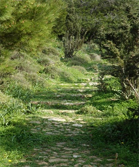 Old Footpath at Kefalos hill, Paros