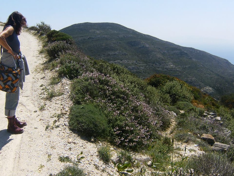 The footpath to Lagada