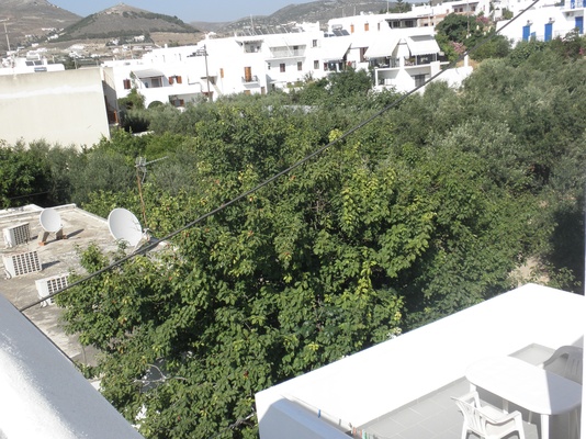 View to the neighborhood